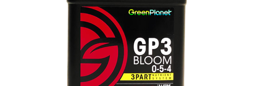 GP3 Bloom