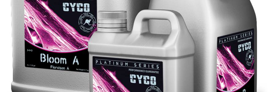 Cyco Platinum Bloom