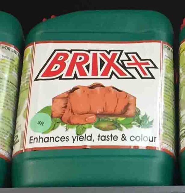 Brix +