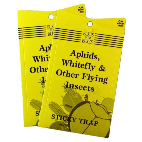 Sticky White Fly Traps