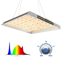 Mars Hydro Lights