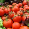 Grosse Lisse Tomato
