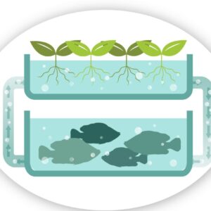 Aquaponics