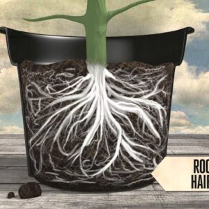 Root Zone Growth & Repair