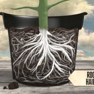 Root Zone / Foliar spray / friendly Bacteria & Hormones